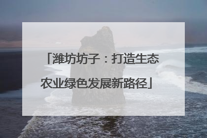 潍坊坊子：打造生态农业绿色发展新路径