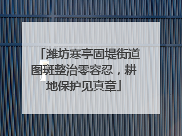 潍坊寒亭固堤街道图斑整治零容忍，耕地保护见真章