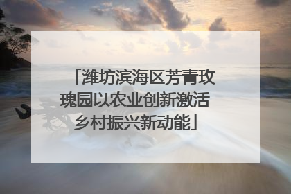 潍坊滨海区芳青玫瑰园以农业创新激活乡村振兴新动能