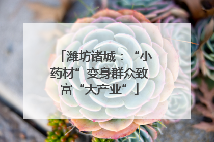 潍坊诸城：“小药材”变身群众致富“大产业”