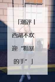 潮评丨西湖不欢迎“粗暴的手”