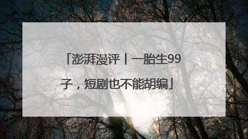 澎湃漫评丨一胎生99子，短剧也不能胡编