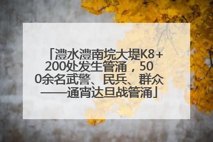 澧水澧南垸大堤K8+200处发生管涌，500余名武警、民兵、群众——通宵达旦战管涌