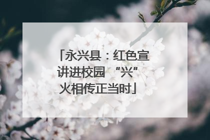 永兴县：红色宣讲进校园 “兴”火相传正当时