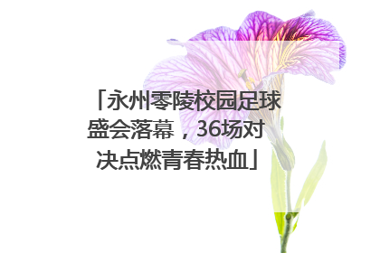 永州零陵校园足球盛会落幕，36场对决点燃青春热血