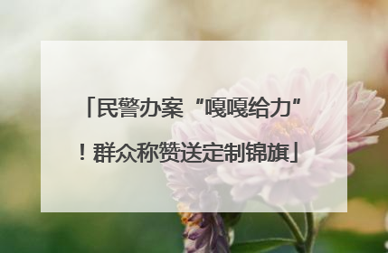 民警办案“嘎嘎给力”！群众称赞送定制锦旗