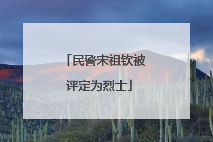 民警宋祖钦被评定为烈士