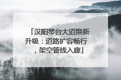 汉阳琴台大道焕新升级：道路扩容畅行，架空管线入廊