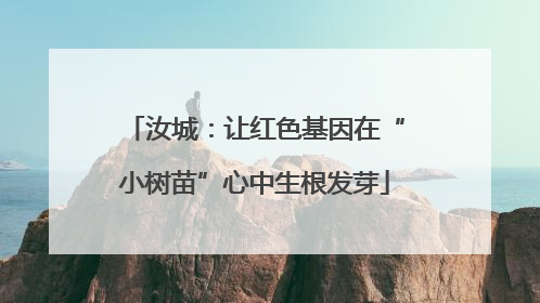 汝城：让红色基因在“小树苗”心中生根发芽