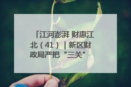 江河澎湃 财惠江北（41）｜新区财政局严把“三关” 绘就“良田美景”