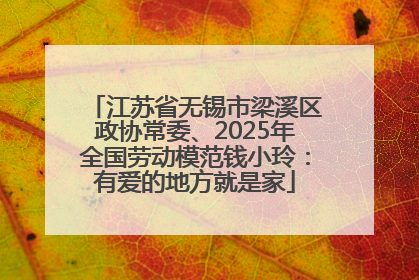 江苏省无锡市梁溪区政协常委、2025年全国劳动模范钱小玲：有爱的地方就是家