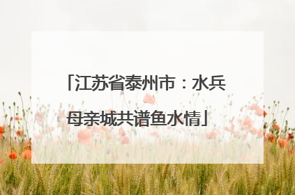 江苏省泰州市：水兵母亲城共谱鱼水情
