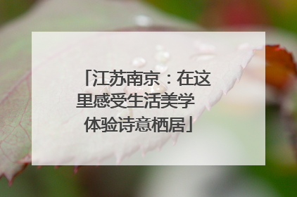 江苏南京：在这里感受生活美学 体验诗意栖居