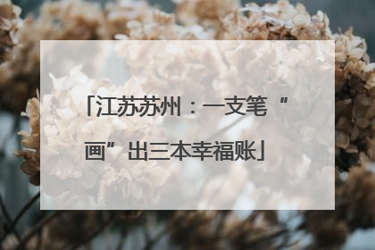 江苏苏州：一支笔“画”出三本幸福账