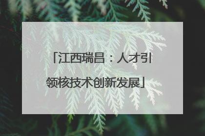 江西瑞昌：人才引领核技术创新发展