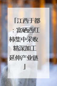 江西于都：富硒西红柿集中采收 精深加工延伸产业链