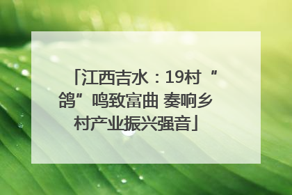 江西吉水：19村“鸽”鸣致富曲 奏响乡村产业振兴强音