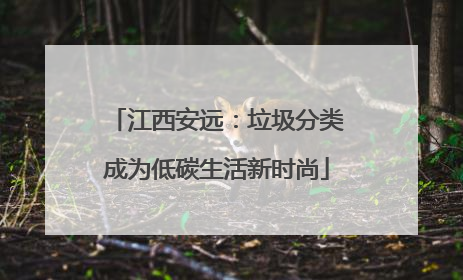 江西安远：垃圾分类成为低碳生活新时尚