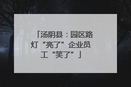 汤阴县：园区路灯“亮了”企业员工“笑了”