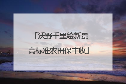沃野千里绘新景 高标准农田保丰收