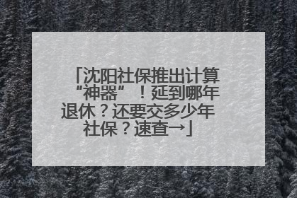 沈阳社保推出计算“神器”！延到哪年退休？还要交多少年社保？速查→