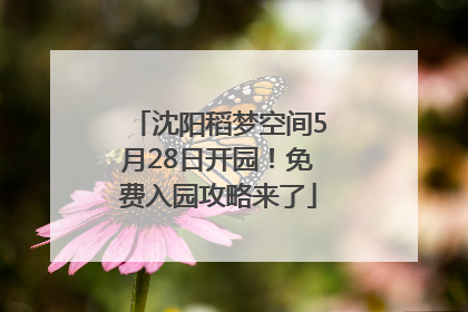 沈阳稻梦空间5月28日开园！免费入园攻略来了