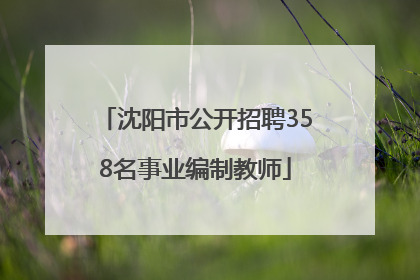 沈阳市公开招聘358名事业编制教师