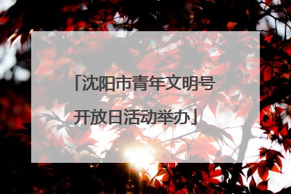 沈阳市青年文明号开放日活动举办