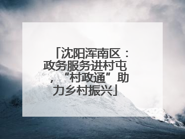 沈阳浑南区：政务服务进村屯，“村政通”助力乡村振兴
