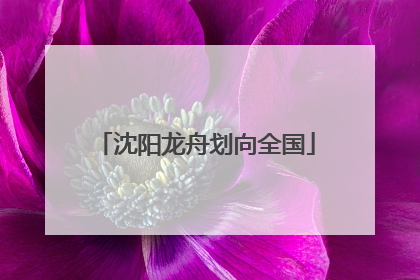沈阳龙舟划向全国