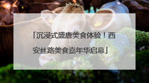 沉浸式盛唐美食体验！西安丝路美食嘉年华启幕