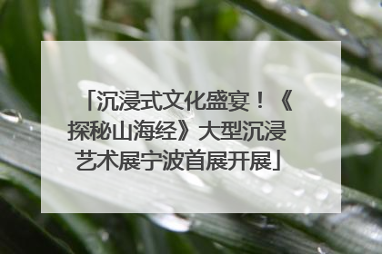 沉浸式文化盛宴！《探秘山海经》大型沉浸艺术展宁波首展开展