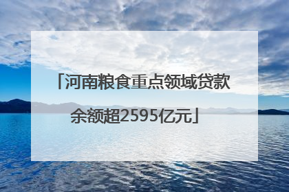 河南粮食重点领域贷款余额超2595亿元
