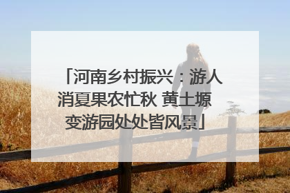 河南乡村振兴：游人消夏果农忙秋 黄土塬变游园处处皆风景