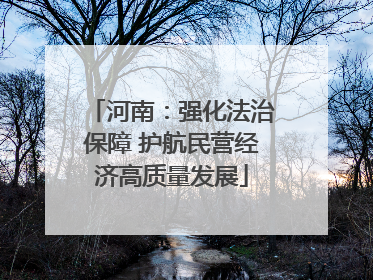 河南：强化法治保障 护航民营经济高质量发展