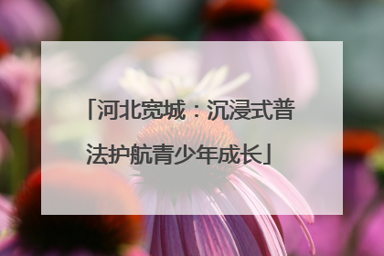 河北宽城：沉浸式普法护航青少年成长