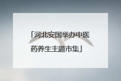河北安国举办中医药养生主题市集