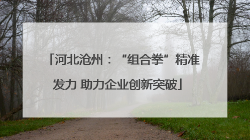 河北沧州：“组合拳”精准发力 助力企业创新突破