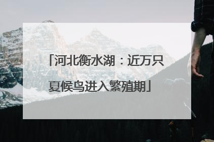 河北衡水湖：近万只夏候鸟进入繁殖期