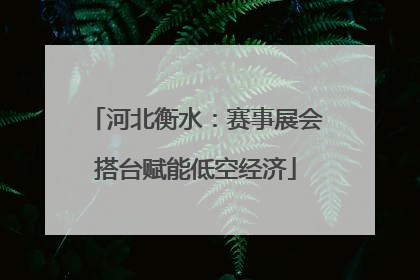 河北衡水：赛事展会搭台赋能低空经济