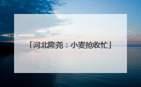 河北隆尧：小麦抢收忙