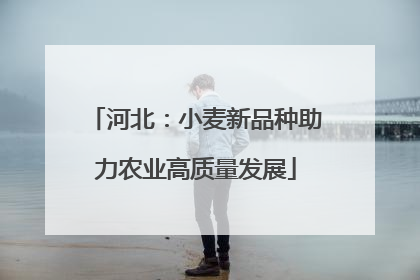 河北：小麦新品种助力农业高质量发展