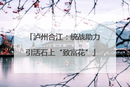 泸州合江：统战助力引活石上“致富花”