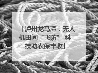 泸州龙马潭：无人机田间“飞防” 科技助农保丰收