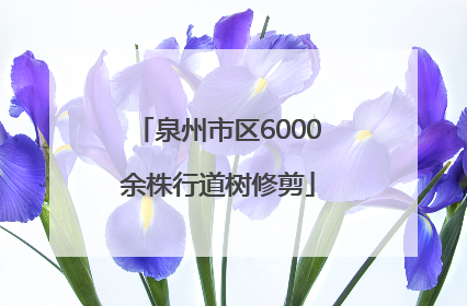 泉州市区6000余株行道树修剪