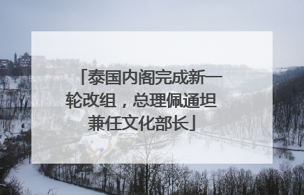 泰国内阁完成新一轮改组，总理佩通坦兼任文化部长