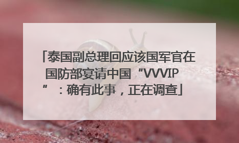 泰国副总理回应该国军官在国防部宴请中国“VVVIP”：确有此事，正在调查