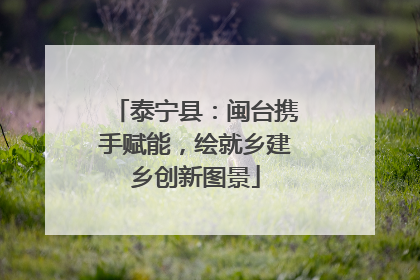 泰宁县：闽台携手赋能，绘就乡建乡创新图景