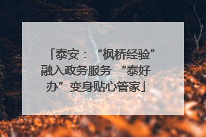 泰安：“枫桥经验”融入政务服务 “泰好办”变身贴心管家