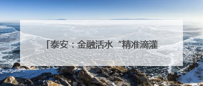 泰安：金融活水“精准滴灌” 民企发展“加速快跑”